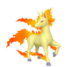 Rapidash