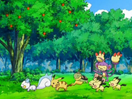 Algunos de los Pokémon del Sr. Fortuny y de los protagonistas jugando en el jardín de la mansión.