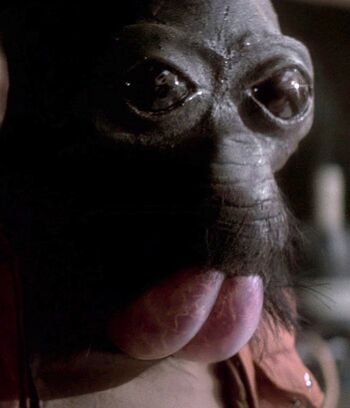 Ponda Baba