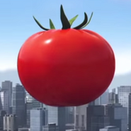 "Unnamed Tomato Shi To"