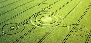 The Crop Circles