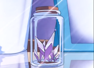 The bottle where Kagome used to keep the fragments she managed to collect.