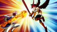 Natsu vs