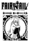 Chapter 460