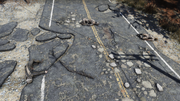 FO76 Dead Cultists