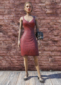 FO76 Red Dress