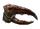 FO3 mirelurk meat