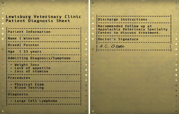 Veterinary diagnosis sheet