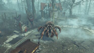 FO4FH-HermitCrab-Active