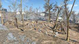 Fo4 Wildwood cemetery