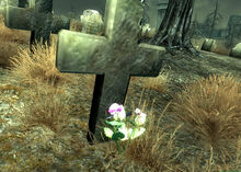 Bright pink flowers blooming out of a grave at the Arlington Cemetery