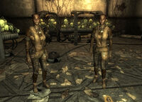 Two Point Lookout tribals in Fallout 3