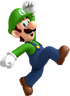 NSMBWii Luigi