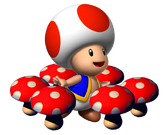 SM64DS Toad