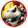 Dry Bowser MDR