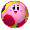 Kirby MDR