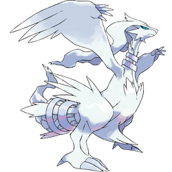 643Reshiram