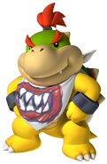 Bowser Jr. (MD)