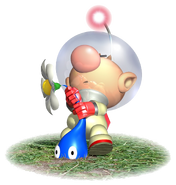 Olimar pluck