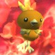 Torchic