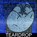 FSB Teardrop