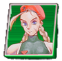 Cammy Icon 2