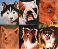 The dogs from the Pet Pals magazine in Final Fantasy VIII.