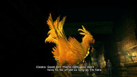 Amazing chocobo ffx-2