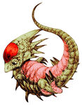 FFT Carbuncle