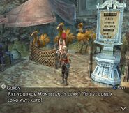 Gurdy's chocobo stable in Mt Bur-Omisace.