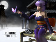 Screenshot from Dead Fantasy I of Kasumi (background) and Ayane.