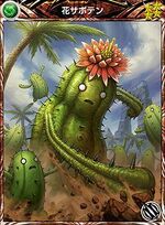 MFF Flowering Cactoid