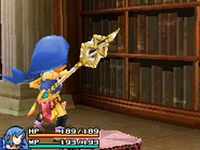 Final Fantasy Crystal Chronicles: Echoes of Time.