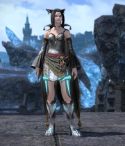 Koh's Allagan outfit