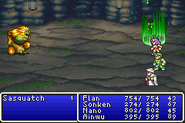 Final Fantasy II (GBA).