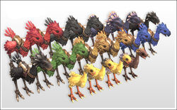 FFXI-ChocoboBreed