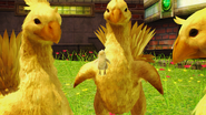 Chocobos in Nautilus.