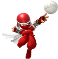 Mariosports ninja