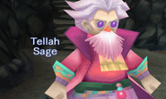 Tellah's introduction screen (3D).