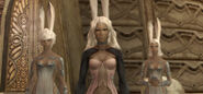 Jote, the leader of the viera.