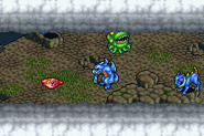 Final Fantasy Tactics Advance.