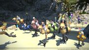 FFXIV Chocobo Racing