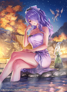 Artwork of Camilla in Fire Emblem 0 (Cipher) by Yoshiro Ambe.