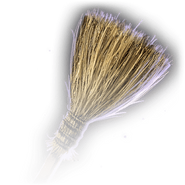 A typical broom.