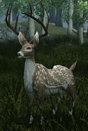 A depiction of a deer from Dungeons & Dragons Online.