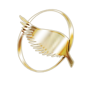 The symbol of aasimar from Neverwinter Nights 2.