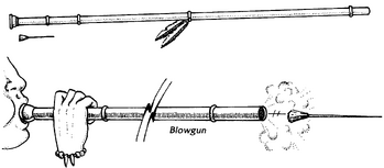 Blowgun2e