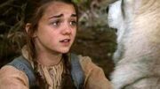 Nymeria-and-Arya-Stark-game-of-thrones-direwolves-26320407-498-280