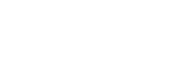 Wiki Genshin Impact