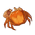 Crab